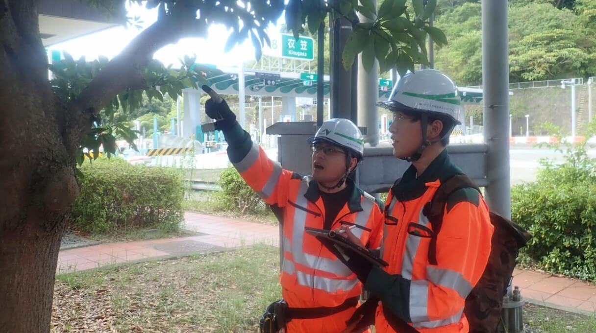 植栽点検 [仕事風景]