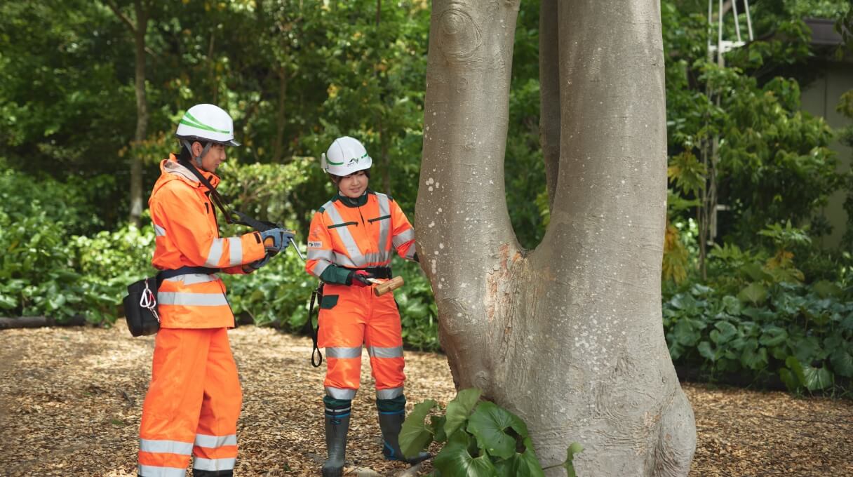 環境調査・設計 [仕事風景]