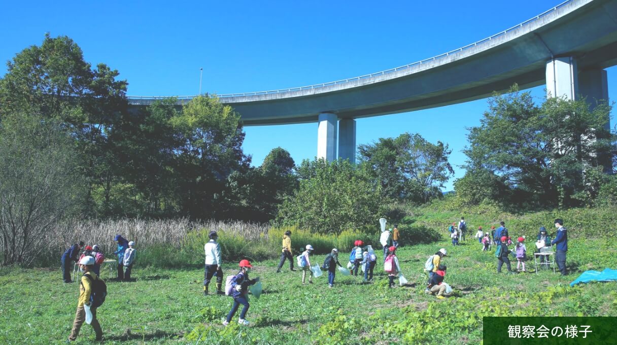 あきる野ICビオトープ [写真]