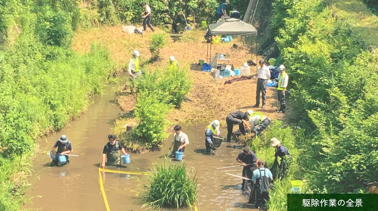 横須賀PAこしみず池 [写真]